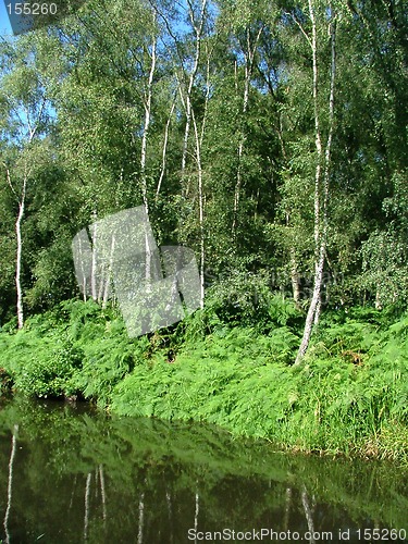 Image of Canalside scene, Shropshire.