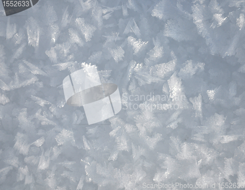 Image of Snow crystals