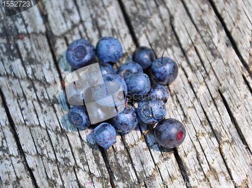 Image of Wild bilberries on wood