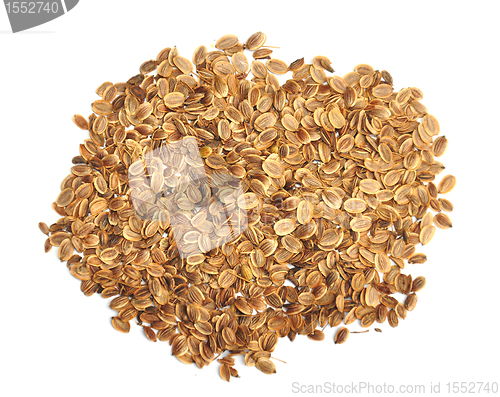 Image of Dill seeds