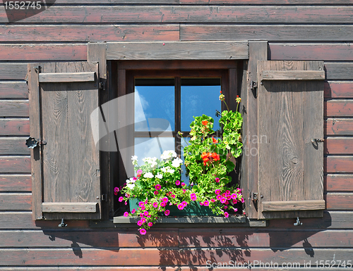 Image of Flowers at window