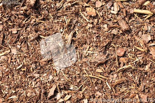 Image of Bark mulch