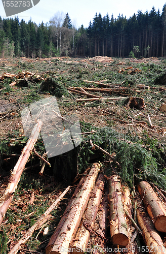 Image of Wood logging