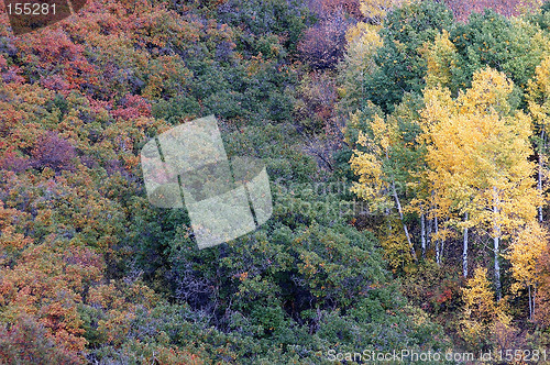 Image of Autumn Hillside in Rainbow Color