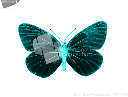 Image of Alien butterfly