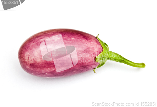 Image of Asian egg plant