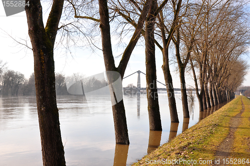 Image of Danube flood