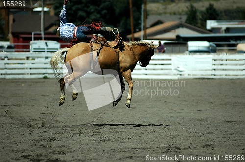 Image of The Oh Shit! rodeo moment