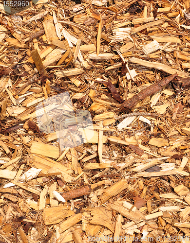 Image of Wood chips