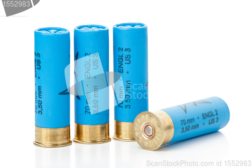 Image of Isolated shotgun shells