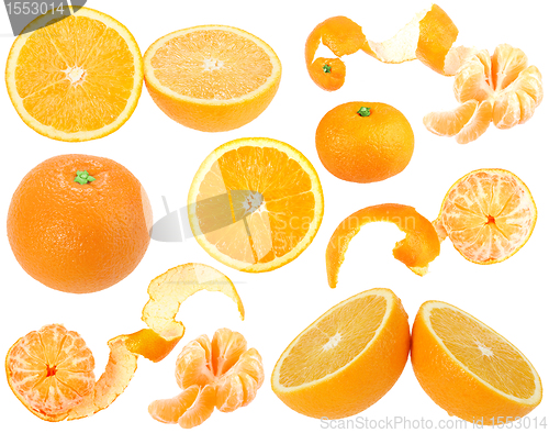 Image of Set of orange and tangerine fresh fruits