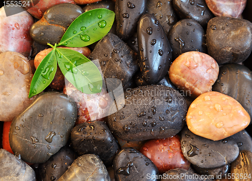 Image of Zen stones background with leaves and water drops