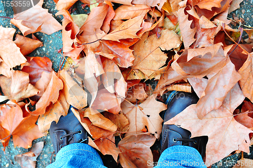 Image of Dried leaves around shoes