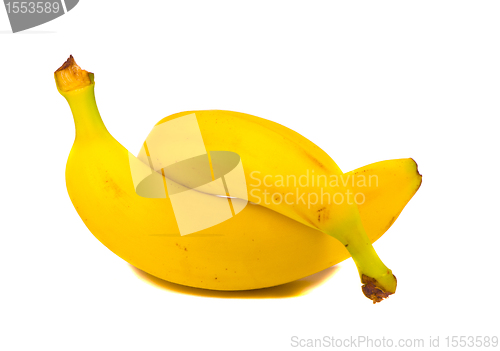 Image of Intertwine pair of two yellow bananas isolated 