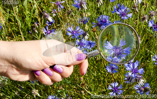 Image of woman hand nails magnifying glass blue flower ring 