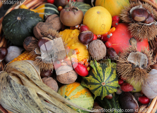 Image of Autumn Harvest