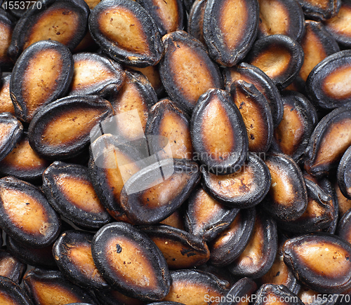 Image of black melon seed for chinese new year