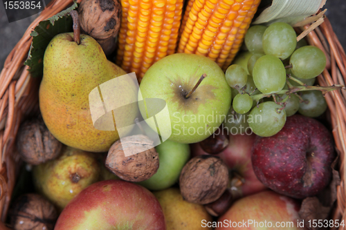 Image of Fruit basket