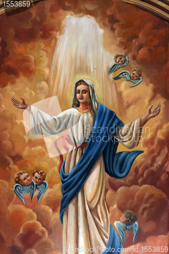 Image of Assumption of the Virgin Mary