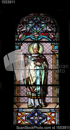 Image of Pope Saint Leo IX