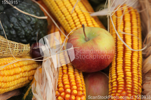 Image of Apple and corn