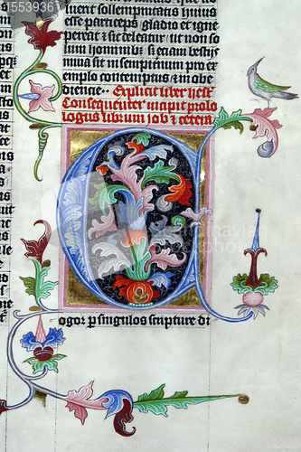 Image of Holy Bible Book