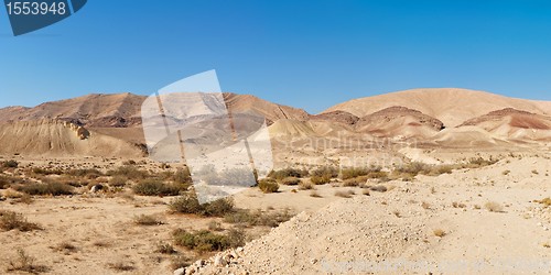 Image of Desert landscape near Makhtesh Gadol in Israel 