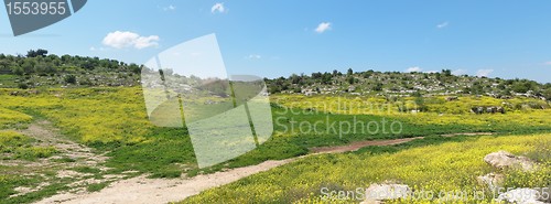 Image of Mediterranean hills landscape in spring