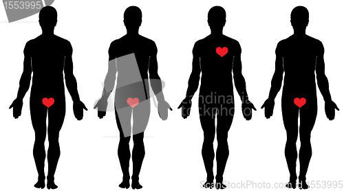 Image of Anatomy of love     