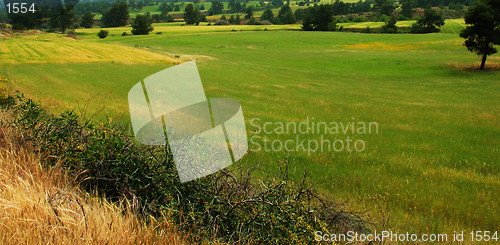 Image of Green panorama. Cyprus