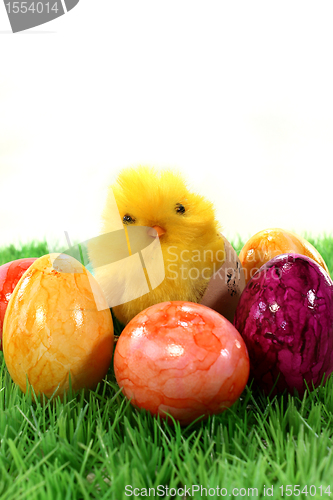 Image of Easter eggs