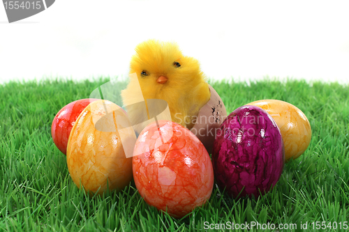 Image of Easter eggs