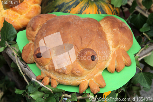 Image of Frog bread