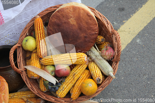 Image of Autumn Harvest