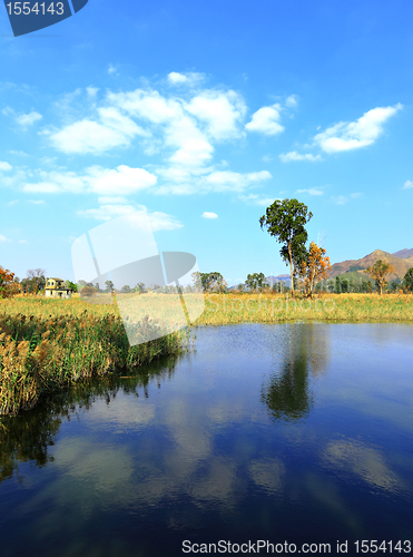 Image of lake landscape