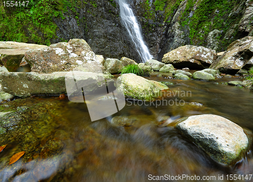 Image of water spring in forest