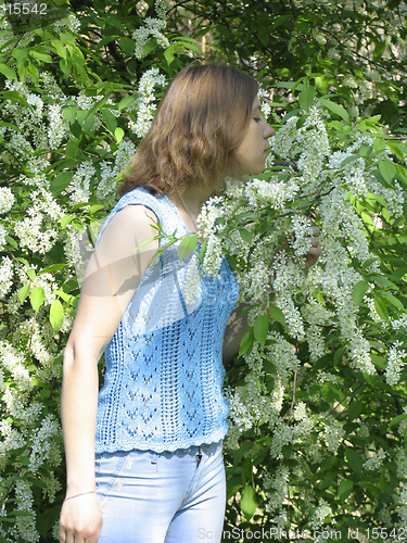 Image of Girl and bird cherry tree