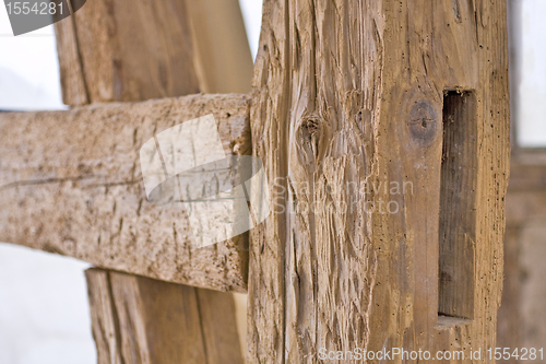 Image of old carcass with woodworm