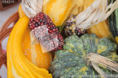 Image of Autumn Harvest