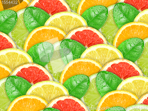 Image of Background with motley citrus slices and green leaf