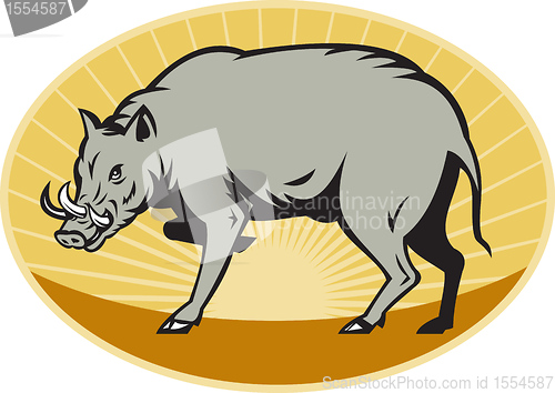 Image of babirusa wild pig attack