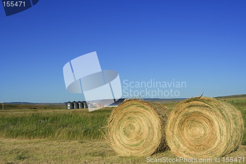 Image of Farmland bales