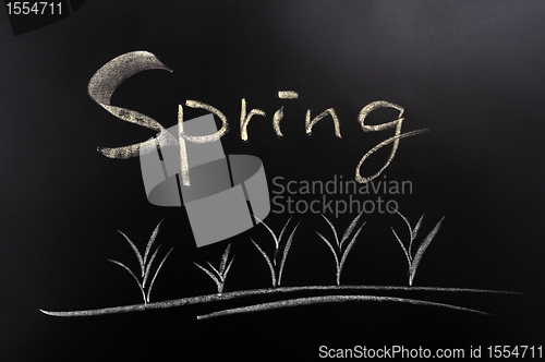 Image of Spring