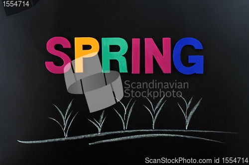 Image of Spring