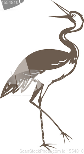 Image of Crane  looking up