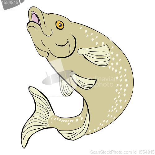Image of trout fish jumping