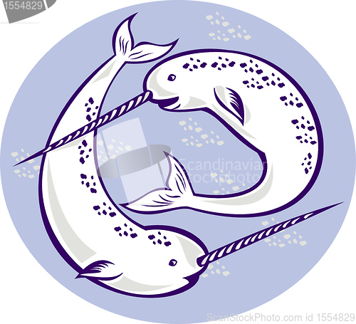 Image of Narwhal Monodon monoceros unicorn whale