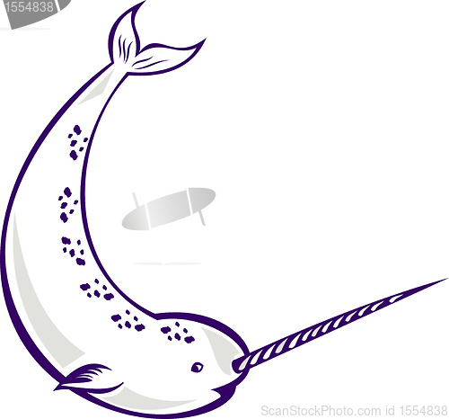 Image of Narwhal Monodon monoceros unicorn whale