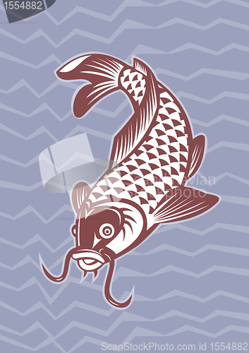 Image of Koi carp swimming down