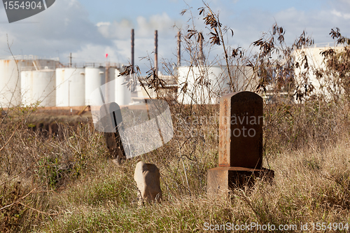 Image of Abandoned chinese graveyard in Kauai